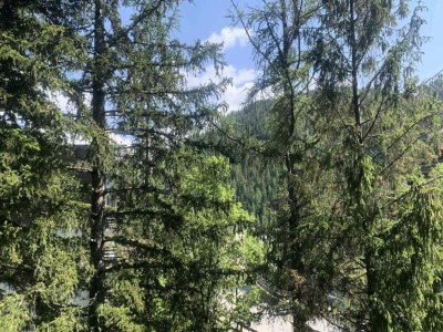 Apartment 3 Rooms for 7 People - Outdoor photo 7