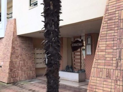 Apartment Antares Residenz - Outdoor photo 18