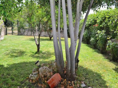Apartment Haus in Lloret de Vistalegre - Outdoor photo 20