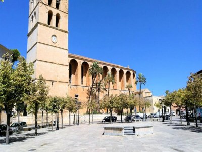 Apartment 158 Finca Vinagrella ET/3384 by Mallorca Charme - Outdoor photo 22