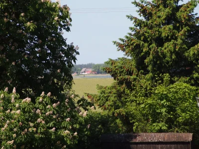 Holiday apartment Galerie Mitte - Environment photo 17