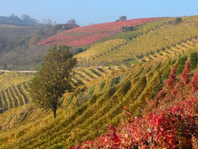 Holiday apartment Casa Giromet - Environment photo 24