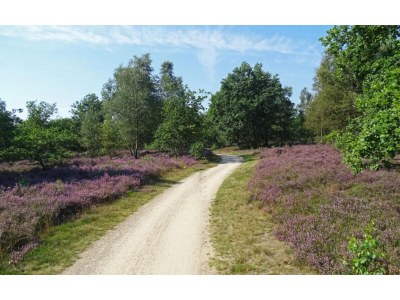 Holiday park Waldvilla in Markelo für 4 Von Belvilla - Environment photo 20