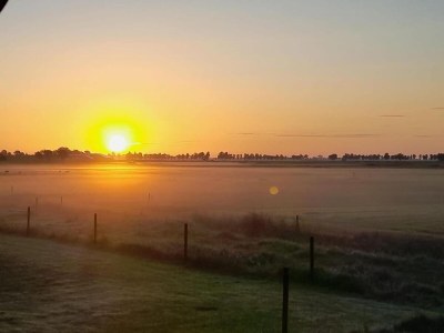 Holiday house Cottages in Friesland with Farm Experience - Outdoor photo 6