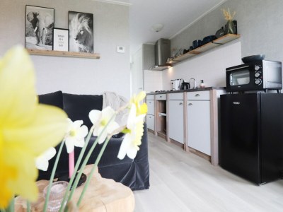 Holiday house Cottages in Friesland with Farm Experience - Features photo 12