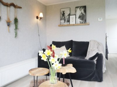 Holiday house Cottages in Friesland with Farm Experience - Features photo 18