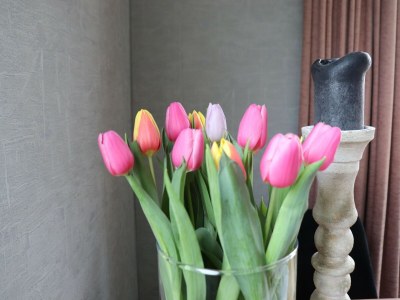 Holiday house Cottages in Friesland with Farm Experience - Outdoor photo 36