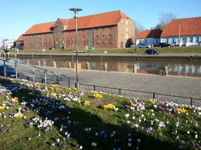 Holiday house Nordsee Idyll - Environment photo 18