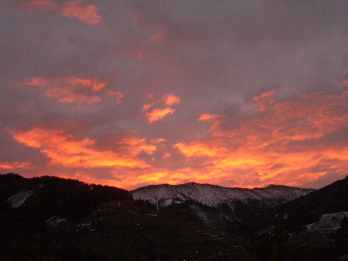 Holiday apartment Palfinger Resi - Outdoor photo 5