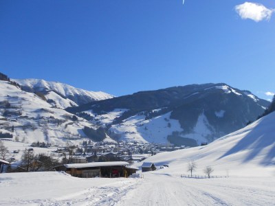 Holiday apartment Palfinger Resi - Environment photo 23