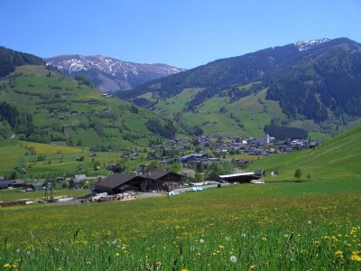 Holiday apartment Palfinger Resi - Environment photo 25