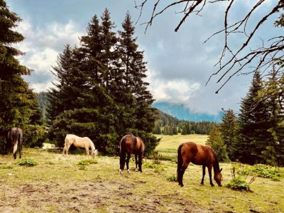 Apartment Wohnung in Chamrousse nahe Skipisten - Environment photo 23