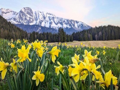 Apartment Wohnung in Chamrousse nahe Skipisten - Environment photo 35
