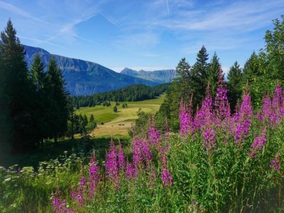 Apartment Wohnung in Chamrousse nahe Skipisten - Environment photo 36