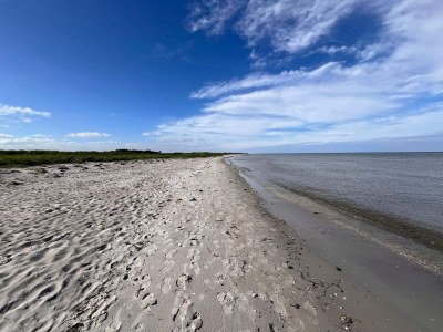 Holiday house 6 Personen Ferienhaus in Sæby - Outdoor photo 11