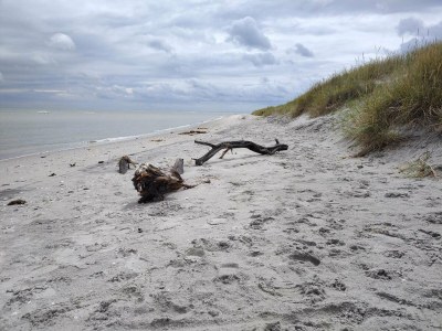 Holiday house 6 Personen Ferienhaus in Sæby - Outdoor photo 28