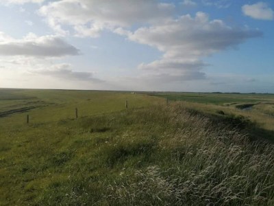 Holiday house 4 person holiday home in Grenaa - Outdoor photo 7