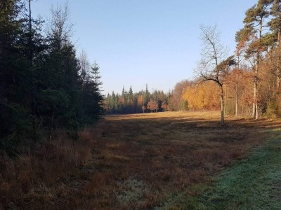 Holiday house 4 person holiday home in Grenaa - Outdoor photo 15