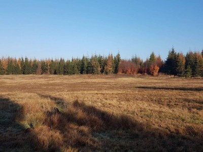 Holiday house 6 person holiday home in Grenaa - Outdoor photo 17