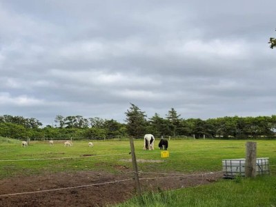 Holiday house 6 person holiday home in Grenaa - Outdoor photo 19