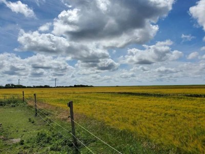 Holiday house 6 person holiday home in Grenaa - Outdoor photo 36