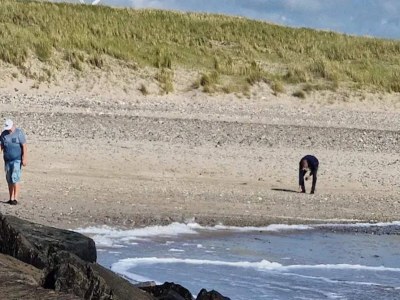 Holiday house 6 person holiday home in Grenaa - Outdoor photo 42