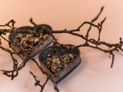 Holiday park Chalet with Sauna and Natural Pool - Outdoor photo 38