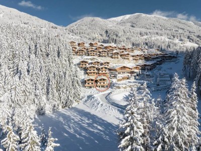 Holiday park Chalet near Ski Lift with Garden - Environment photo 34