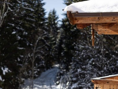 Holiday park Chalet near Ski Lift with Garden - Environment photo 35