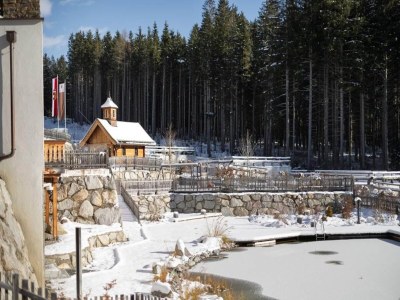 Holiday park Chalet near Ski Lift with Garden - Environment photo 37