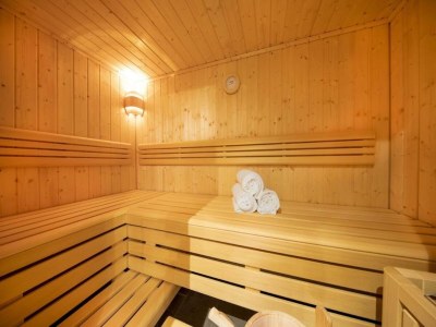 Holiday park Chalet near Ski Lift with Garden - Outdoor photo 52