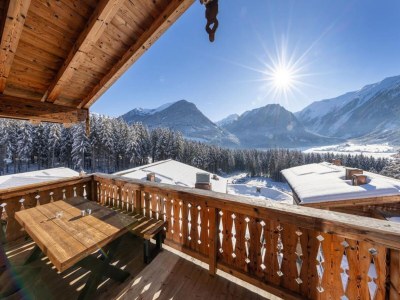 Holiday park Chalet in der Nähe des Skilifts mit Garten - Outdoor photo 7