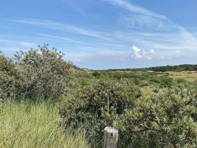 Holiday house VZ734 Stacaravan Fazant 654 Renesse - Outdoor photo 50