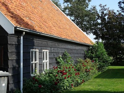 Holiday house VZ890 Vakantiehuis in Renesse - Outdoor photo 30