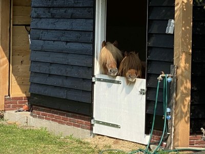 Holiday house VZ890 Vakantiehuis in Renesse - Outdoor photo 33
