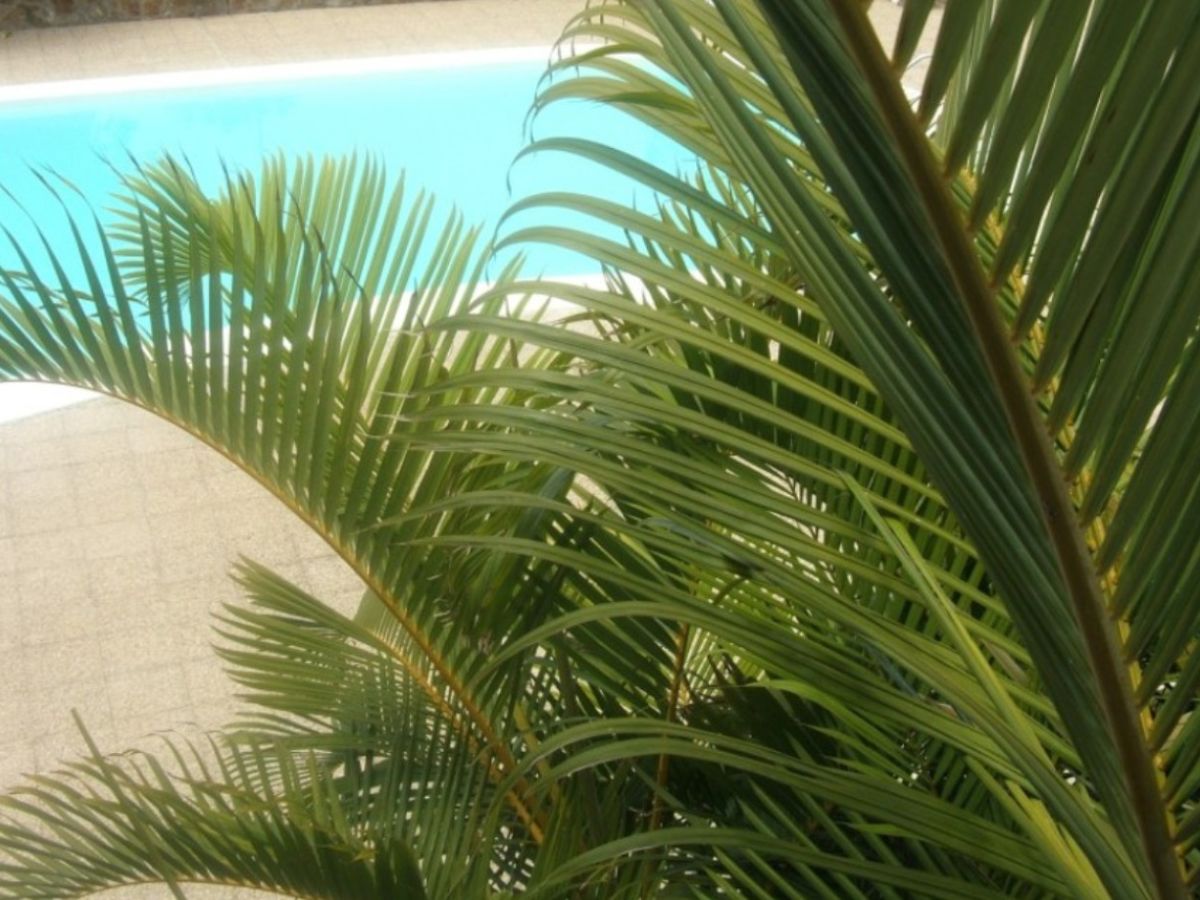 Holiday apartment Playamar Romantico - Outdoor photo 5