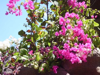 Holiday apartment Playamar Romantico - Environment photo 29