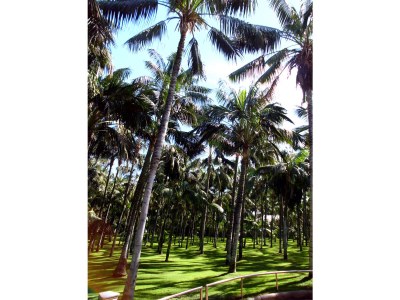 Holiday apartment Playamar Romantico - Environment photo 30