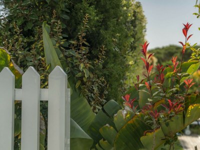 Villa LA2 - Environment photo 43