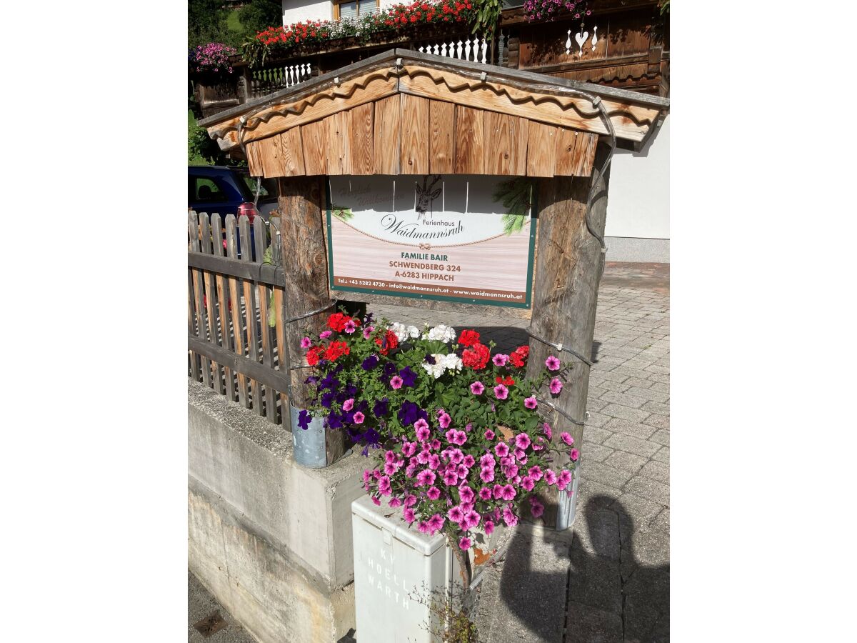 Holiday apartment Ferienwohnung Vogelnest - Outdoor photo 3