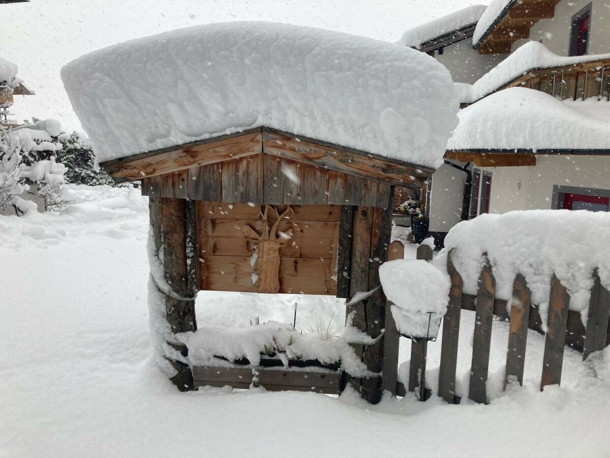 Holiday apartment Ferienwohnung Vogelnest - Outdoor photo 4