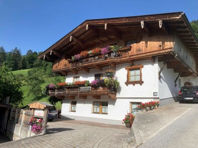 Holiday apartment Ferienwohnung Vogelnest in Hippach - Holiday apartment