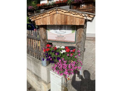 Holiday apartment Ferienwohnung Vogelnest - Outdoor photo 3