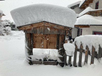 Holiday apartment Ferienwohnung Vogelnest - Outdoor photo 4
