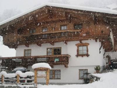 Holiday apartment Ferienwohnung Vogelnest - Outdoor photo 5