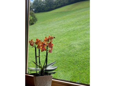 Holiday apartment Ferienwohnung Vogelnest - Features photo 14