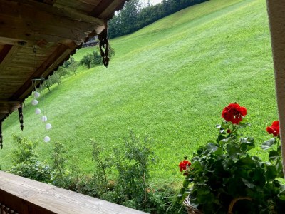 Holiday apartment Ferienwohnung Vogelnest - Features photo 15