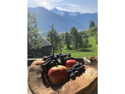 Holiday apartment Ferienwohnung Vogelnest - Environment photo 18