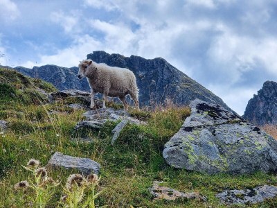 Holiday apartment Ferienwohnung Vogelnest - Environment photo 19