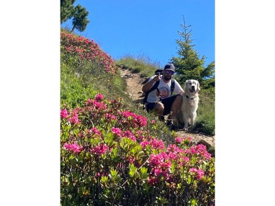 Holiday apartment Ferienwohnung Vogelnest - Environment photo 20